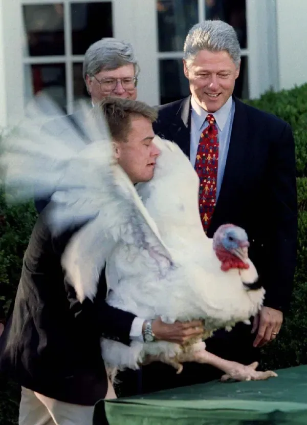 Then President Bill Clinton pardoning a turkey, which is flapping its wings. Credit: Win McNamee, Reuters