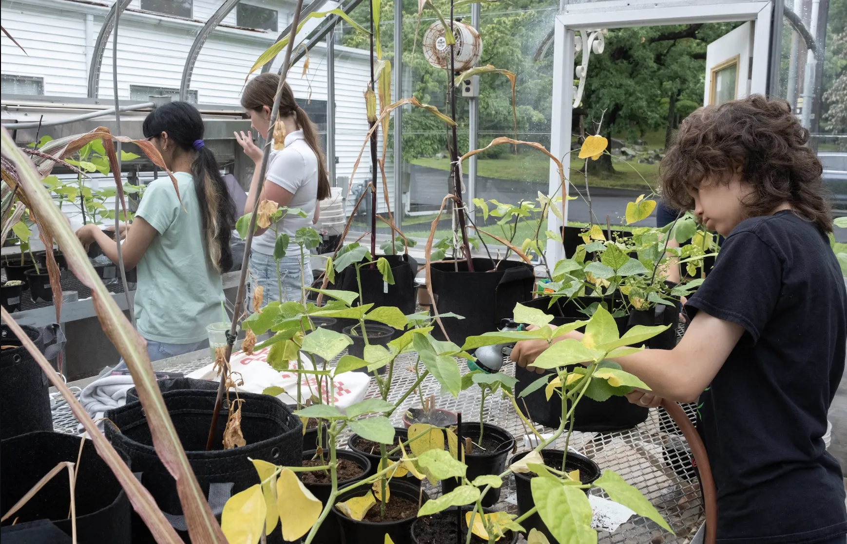 The greenhouse at Lamont Campus has been retrofitted to serve as the F4H Living Lab, hosting collaborative research and educational programming